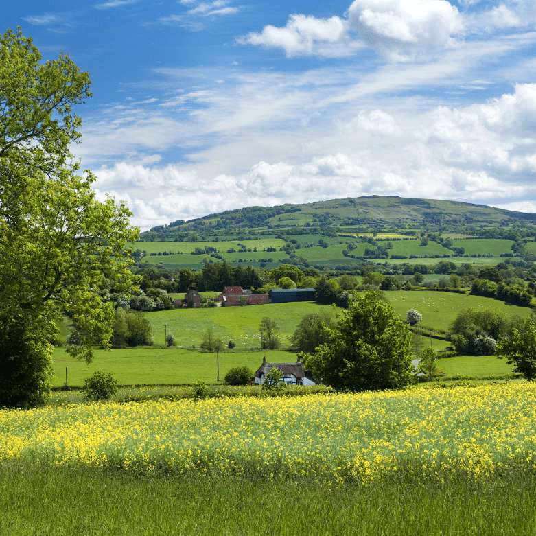 Rolling countryside and farmland in Scotland, representing rural and agricultural property conveyancing